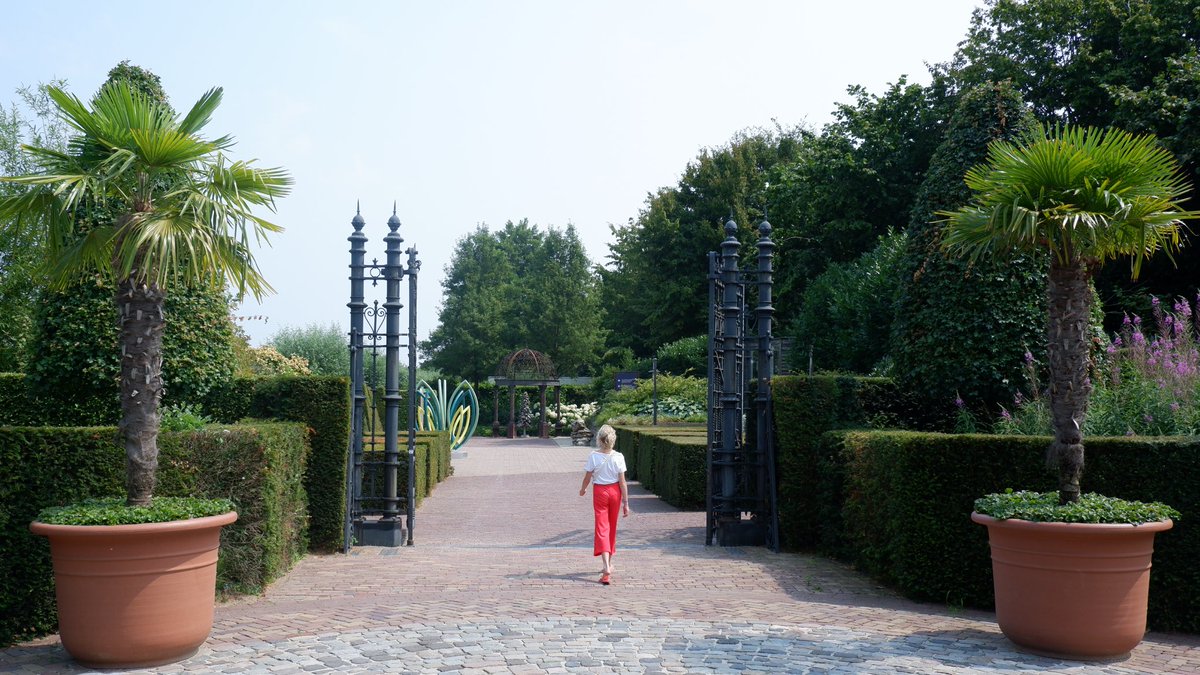 Evert de Bruine tweet media