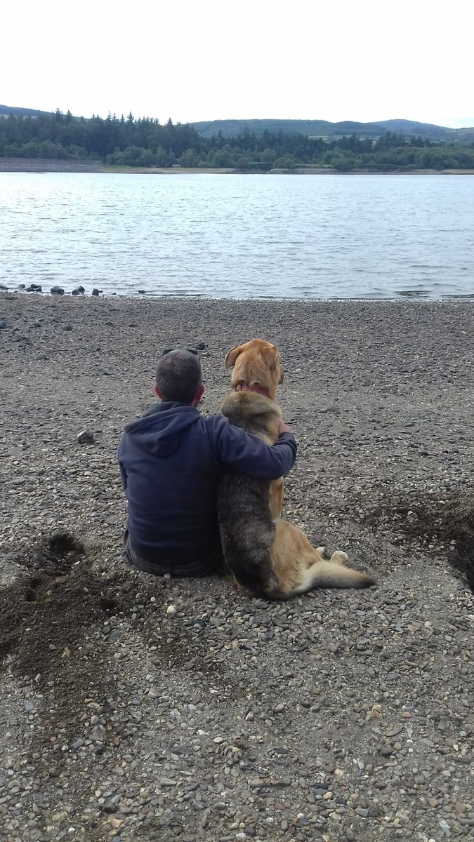 Andreu de Besora tweet media