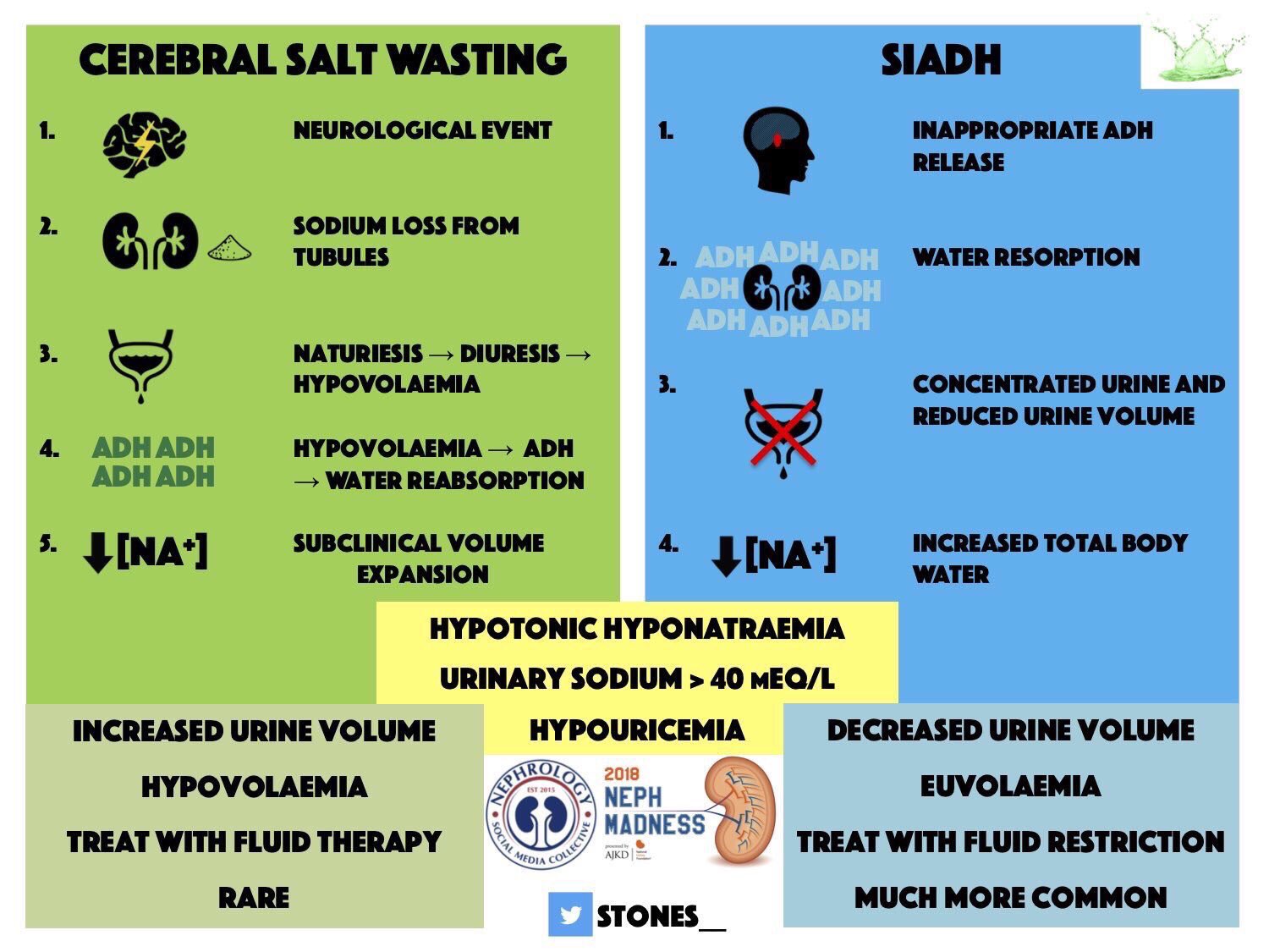 Edgar V. Lerma 🇵🇭 on Twitter "cmallarino NephroMD kidney_boy
