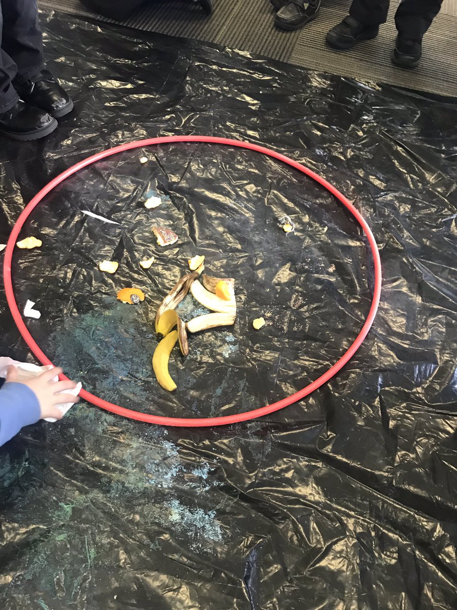 Sustainability provocation in Akomanga Tahi underway! We were all pretty sad to see how much waste was generated after the first day back at school. Using the learning process to consider ways to limit our footprint on planet earth. <a href="/StonefieldsSch/">Stonefields School</a> 
🌏💚🌱