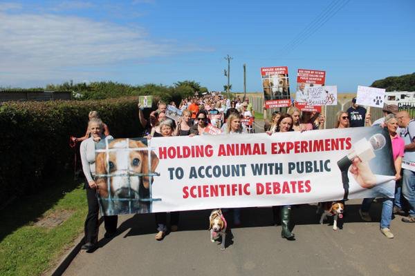 OpposeBandK's tweet photo. @FLOE_Louise @ScarlettBeagle @ZacGoldsmith @PeterEgan6 @rickygervais @BorisJohnson Fantastic news!!!! #Animals #Dogs #Science not #Spin #EDM66 @ScienceForCures #EndAnimalTesting #SpeedUpCures https://t.co/dCsjdrvND3