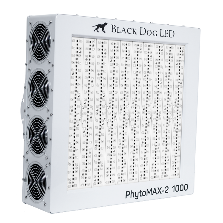 BlackDogLED's tweet photo. Get the PhytoMAX-2 1000 over your plants and watch the yields increase for harvests to come! Grow some serious poundage with the PhytoMAX-2 1000, only from Black Dog LED. https://t.co/liet72q79q
________________________________________
#blackdogled #phytomax #phytomax21000 https://t.co/3dwoNr9r2j