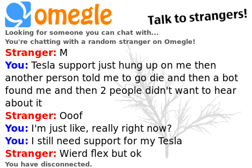 HowToCyber's tweet image. Lesson #52: It was actually 2 different Tesla reps. #teslaautopilotissues #tutorial #howtogetfitandgobroke #weirdflex #CustomerService