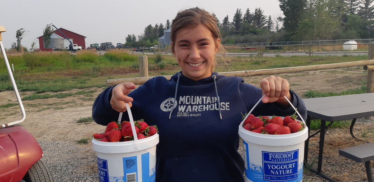 Alberta Farm Fresh tweet media