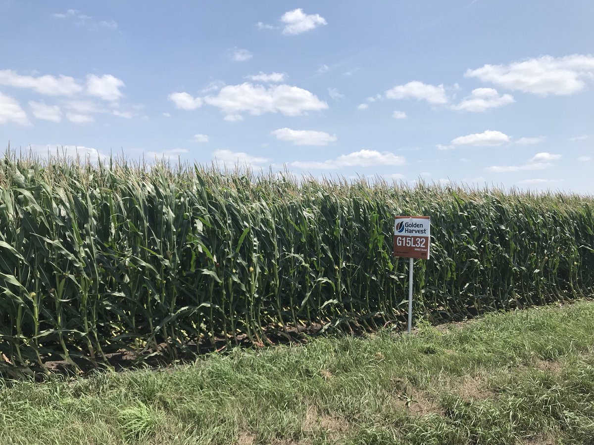 drsarahebuck's tweet photo. Livingston County Farm #CropChecking https://t.co/0LOi4KExB5