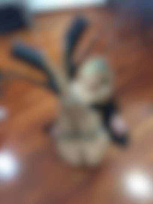 New photo up on Modelhub! This one is only for my Fan Club members. Sign up now: https://t.co/Vc1yneYeto<a href="/tag/mvsales"class="tags"><span>#mvsales</span></a>