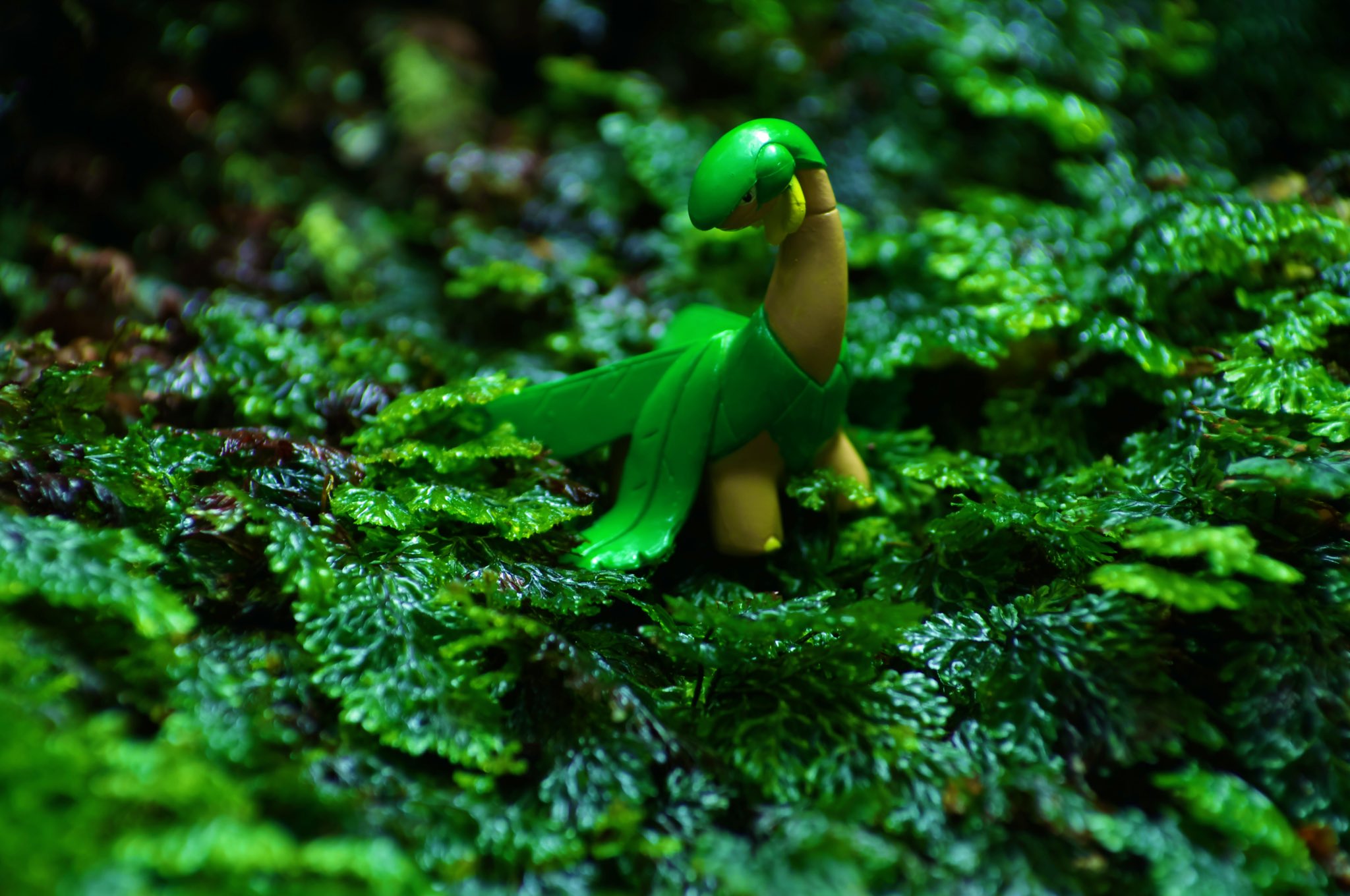 リアポケ No 357 トロピウス Tropius 常緑 ポケモン写真 ポケモン野外撮影 Toyphotography Pokemon Realpokefinder Realpokemonsnap リアルポケファインダー リアル ポケモンスナップ ポケモンクリッピングフィギュア T Co Kmeblq7zb4