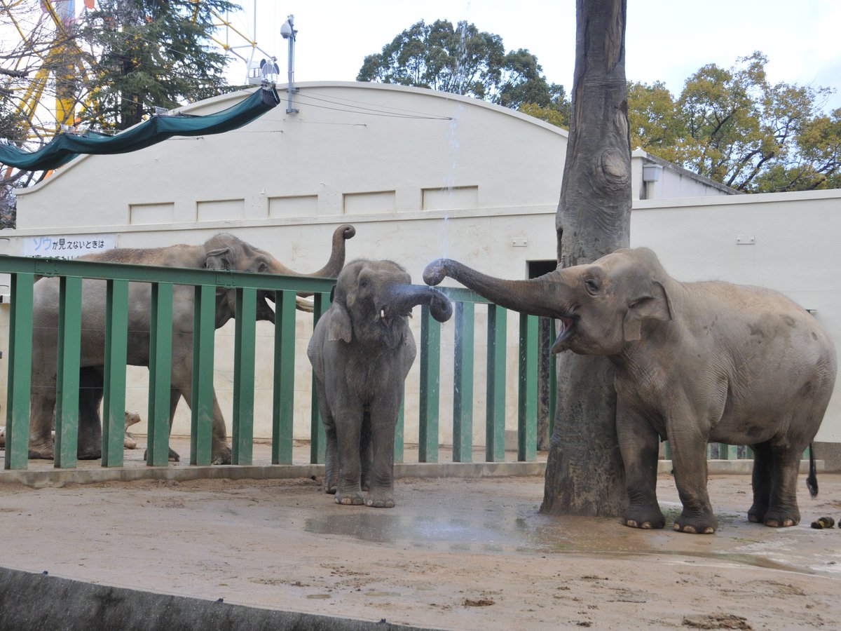 動物園 王子