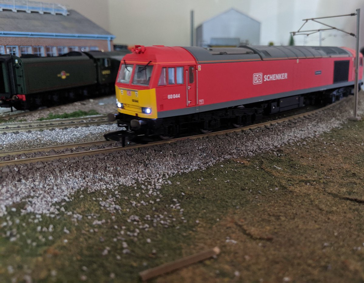 Giffield's tweet image. My new @hornby class 60 just arrived, just running it in.