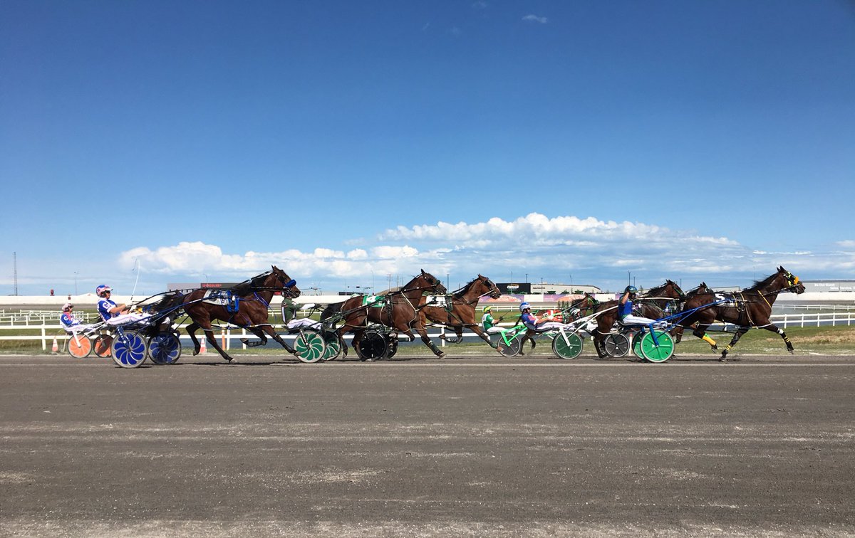 Last race at the Packwood Grand coming up in a few minutes...I put my life saving on Queen of Thrones to win. Good plan? #roséallday #fascinatorsfordays