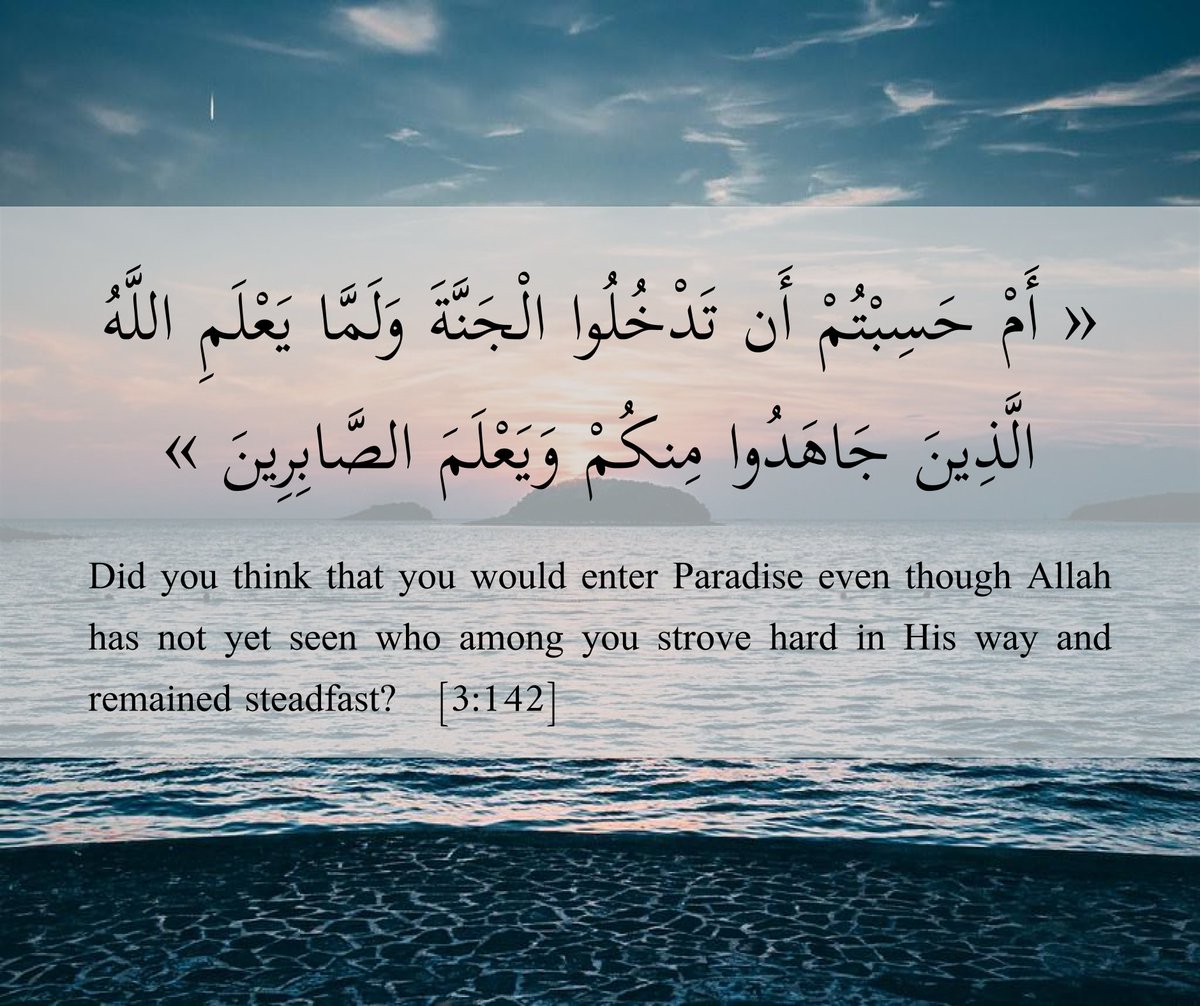 Arabic Box tweet media