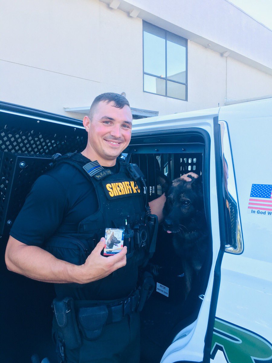 GIVEAWAY!!!

Help us get this post to 1000RTs by the end of the night and 5 followers who RT will receive #ShepHappens t-shirts, PSO stickers and a signed Shep card!!

Good luck! #TweetAlong