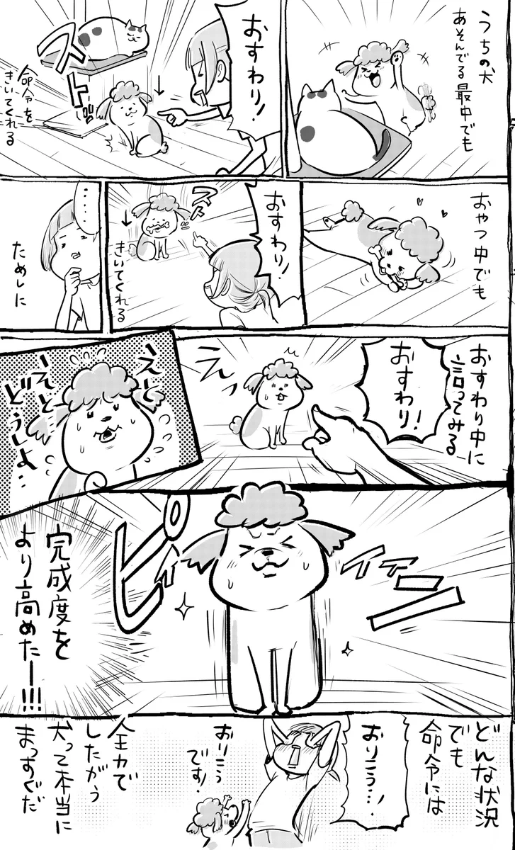 犬と猫に無茶ぶりしてみると反応も全然違って面白いww