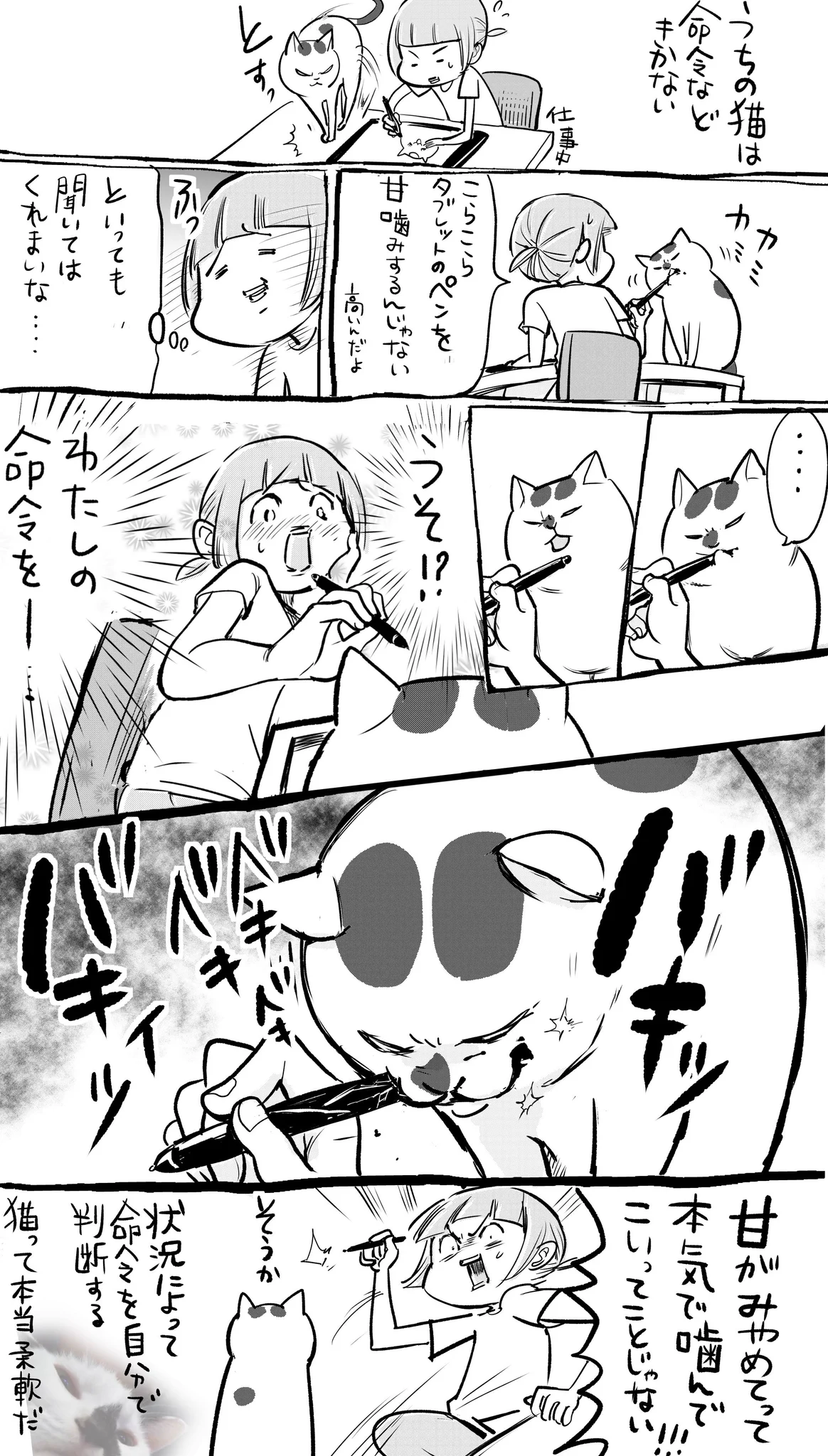 犬と猫に無茶ぶりしてみると反応も全然違って面白いww