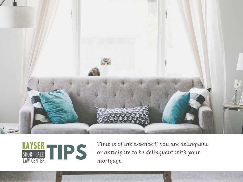 stlbuy's tweet photo. Short Sale Tip of the day. 💡

#ShortSale #RealEstate #Mortgage #Foreclosure #StLouis #Missouri #HomeSales #DidyouKnow #FYI https://t.co/6Hkj0VJcgQ
