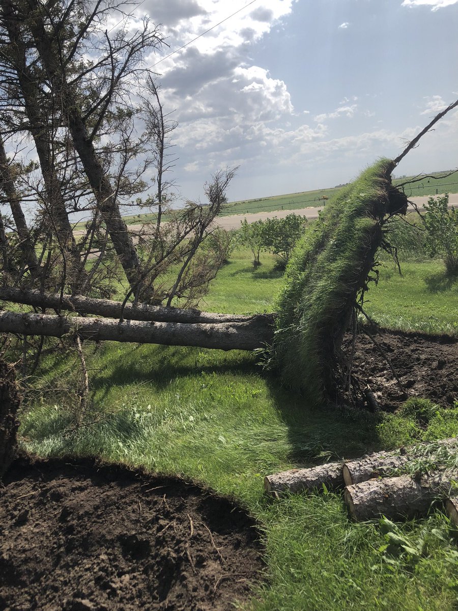 Ben_volleyball's tweet photo. Lost some trees in the wind today #storm19 #cleanupmonday https://t.co/Cxkpr9AprN