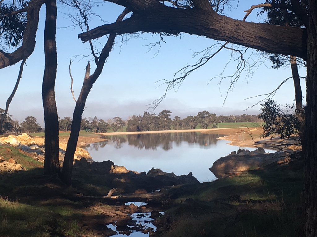 PeterBeech4's tweet photo. @luckyimalad @son_of_a_beech9 The banks on this one need mowing too https://t.co/UWxMSHU2j9
