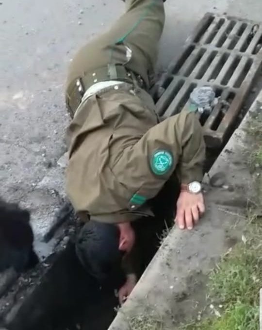 CarabNuble's tweet image. Tras varias horas de trabajo, Carabineros de la Subcomisaría #Huambalí y vecinos de Villa #DoñaIsabel rescataron a 3 perros que estaban atrapados en un alcantarillado sin salida. Tras el rescate, los animales quedaron al cuidado de una familia del sector.
Somos #OrdenyPatria