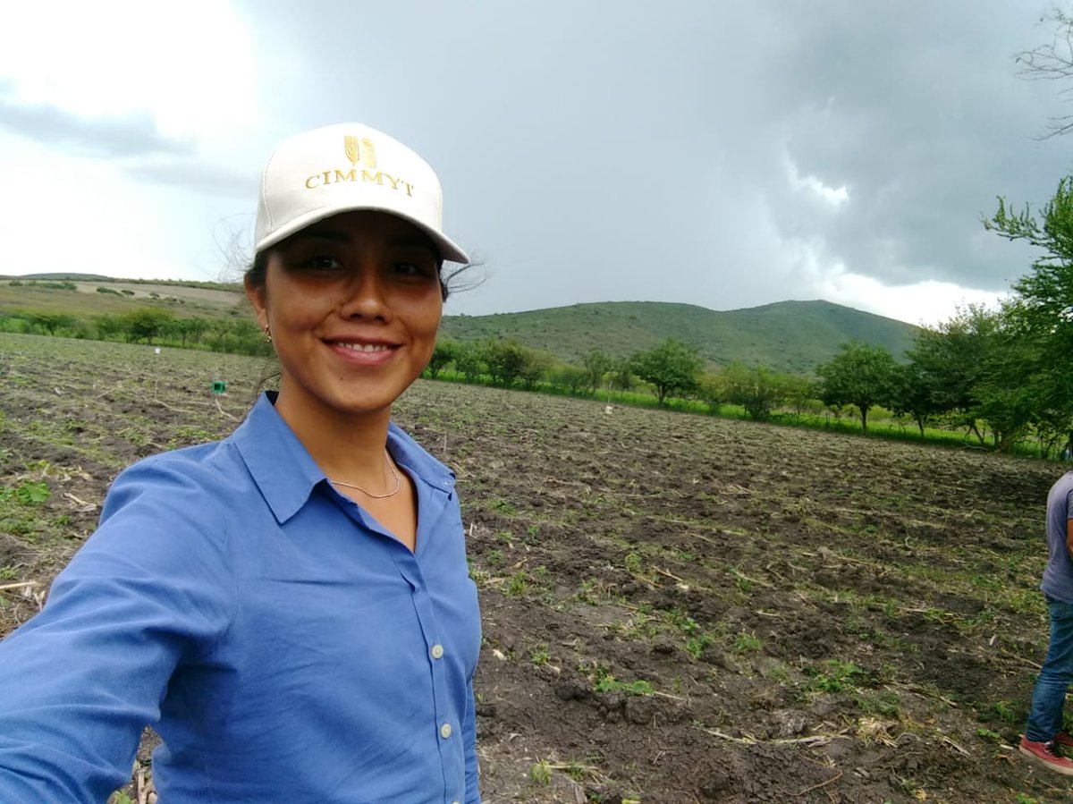 RUTHM0210's tweet photo. Y en Morelos, seguimos haciendo #MAP con productores del municipio de Tlaltizapán.
#CIMMYT #CIMMYTporMéxico #MasAgro #AliansasSustentables @CIMMYT  @ACCIMMYT @medeleliud @bramaccimmyt @KropffMartin @CIMMYTesp @CIMMYThubpcto @AnaCIMMYT https://t.co/haoRbvwbfR