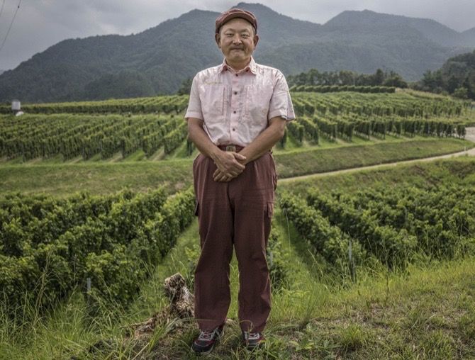 CorkExclusive's tweet photo. Best Japanese #wine made from koshu grapes: white, sparkling https://t.co/3pfn2WRjUC https://t.co/gvHEb0uTZw