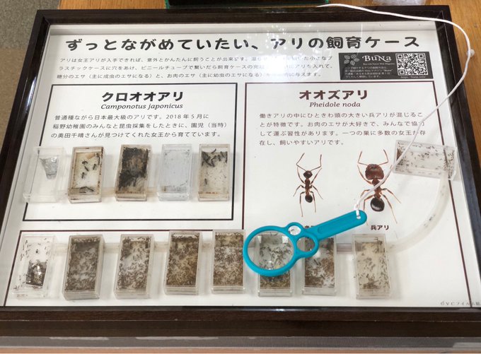 Popular Tweets Of ピン セイダイ Nagashima Seidai 12 Whotwi Graphical Twitter Analysis