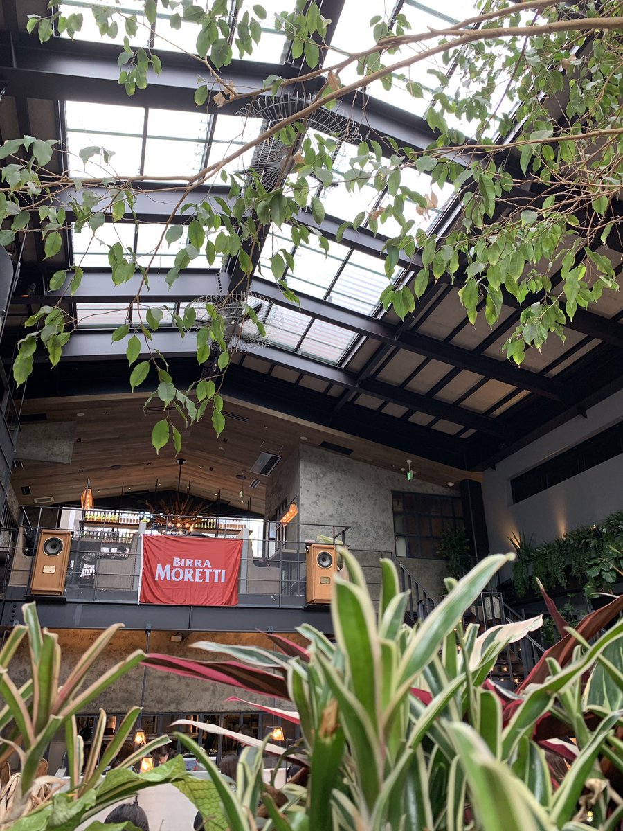 Twitterren お洒落な吹き抜けのお店でランチしました 天神バランカ