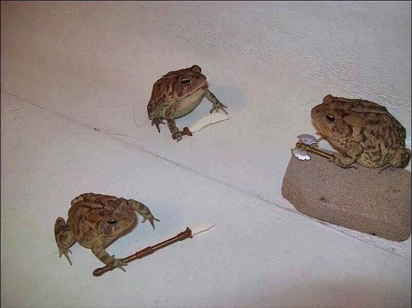 RenardA9Queues's tweet photo. -donc c'est quoi le plan ?

-on se fait téleporter à Konoha avec Naruto et on tabasse tout les rouquins qu'on voit

-sah aucune objection

-on va venger le petit Jiraya les frères, jle jure sur l'ermite rikudo https://t.co/xP3eKAJ4Mv