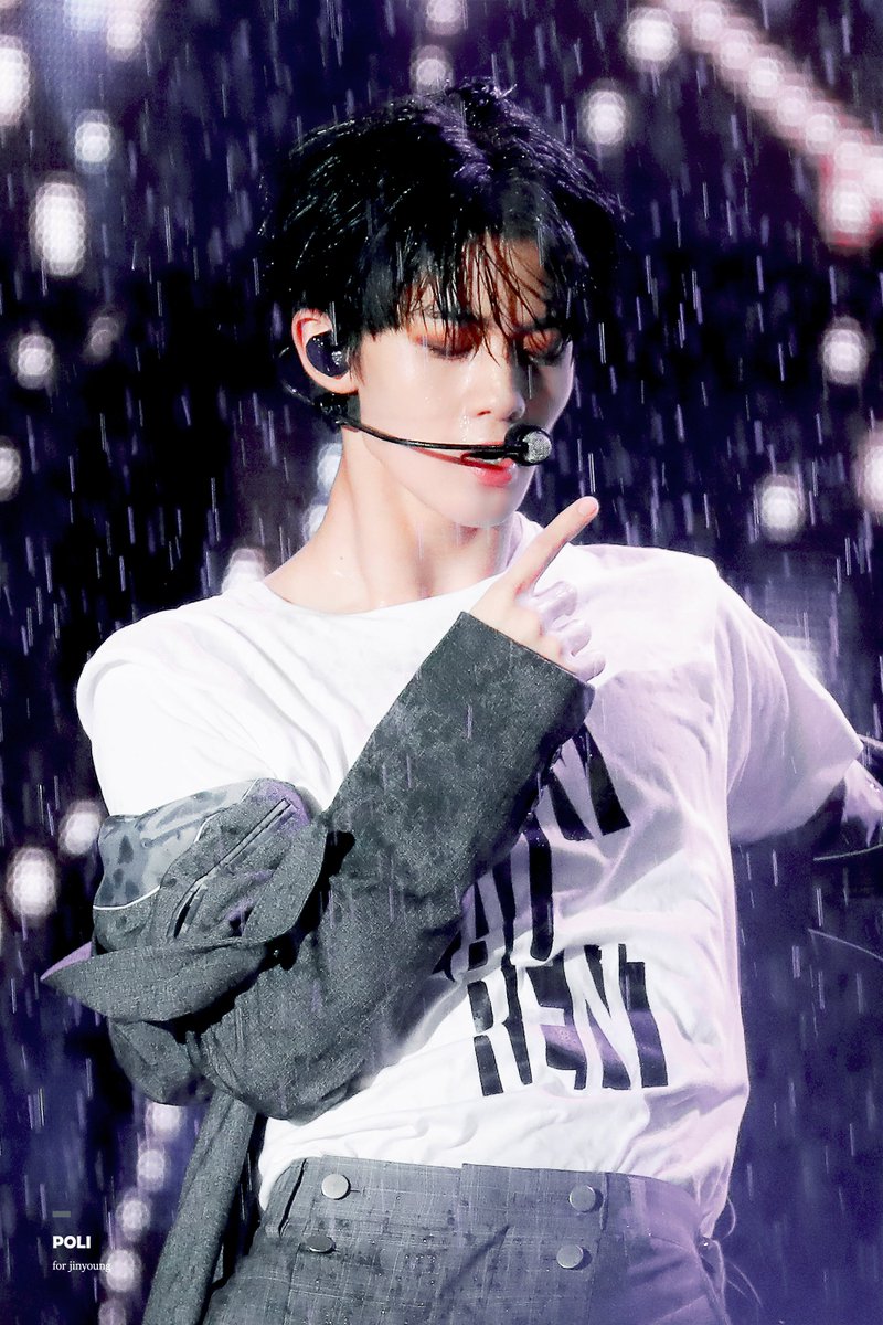 폴리 tweet media