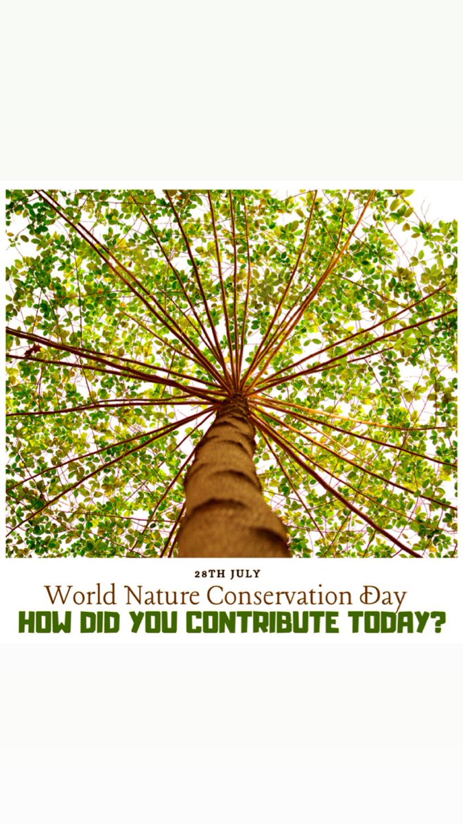 WorldwideOwl's tweet photo. Let’s give it a try.. to help conserve nature.. be it reducing pollution, cleaning trash on roads, picking plastic from beaches, planting trees, reducing use of single-use-plastic, feeding birds &amp; more.. Let’s do it today onwards.. #natureconservationday #nature #conservation https://t.co/BiafOv85bK