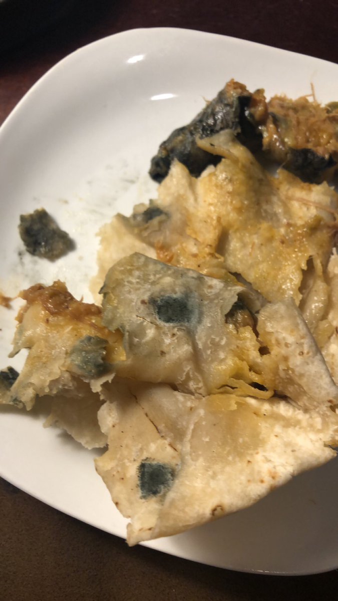 Jake_Ivory's tweet photo. Are you fucking kidding me @SunocoRacing this entire burrito is covered in mold.  Absolutely disgusting! https://t.co/obIvHziEzk