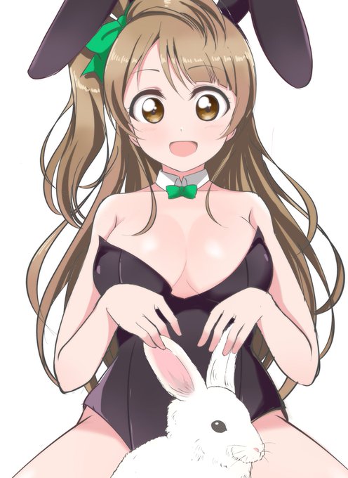 🐰🐰 