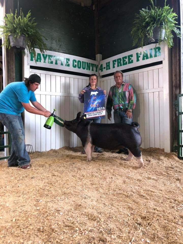 j_genetics's tweet photo. Congrats Bailey Jester with Reserve Crossbred and 3rd Overall Gilt at the Fayette County Open Show! Raised by Vade Dishman https://t.co/HIHnKIfs1r