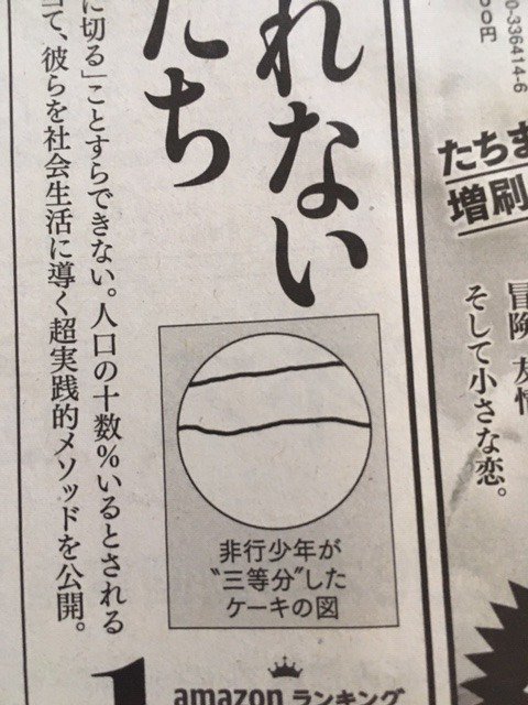 図子慧 On Twitter 朝刊の広告の口絵で 思わず買ってしまった ケーキの切れない非行少年たち 新潮新書