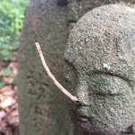 ピノキオになってるお地蔵さん・絶妙な位置で尺取虫が・・・!