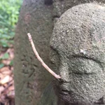 ピノキオになってるお地蔵さん・絶妙な位置で尺取虫が・・・!