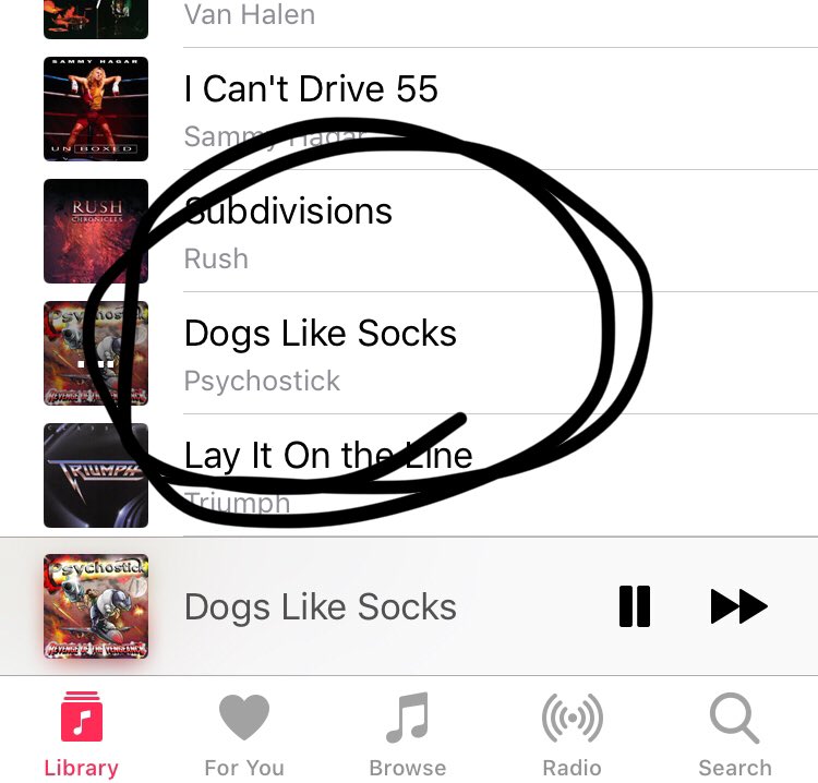 Seike On Twitter We Are Dogs And We Like Socks Psychostick Share is a line from this psychostick official music video about dogs that like socks called dogs likes socks. twitter