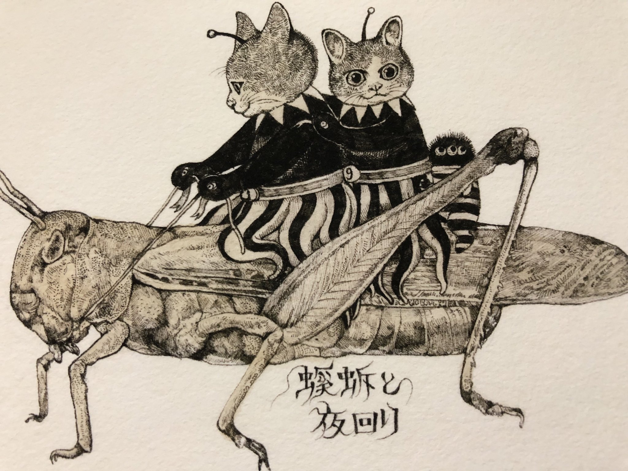 Yuko higuchi ヒグチユウコ on Twitter: