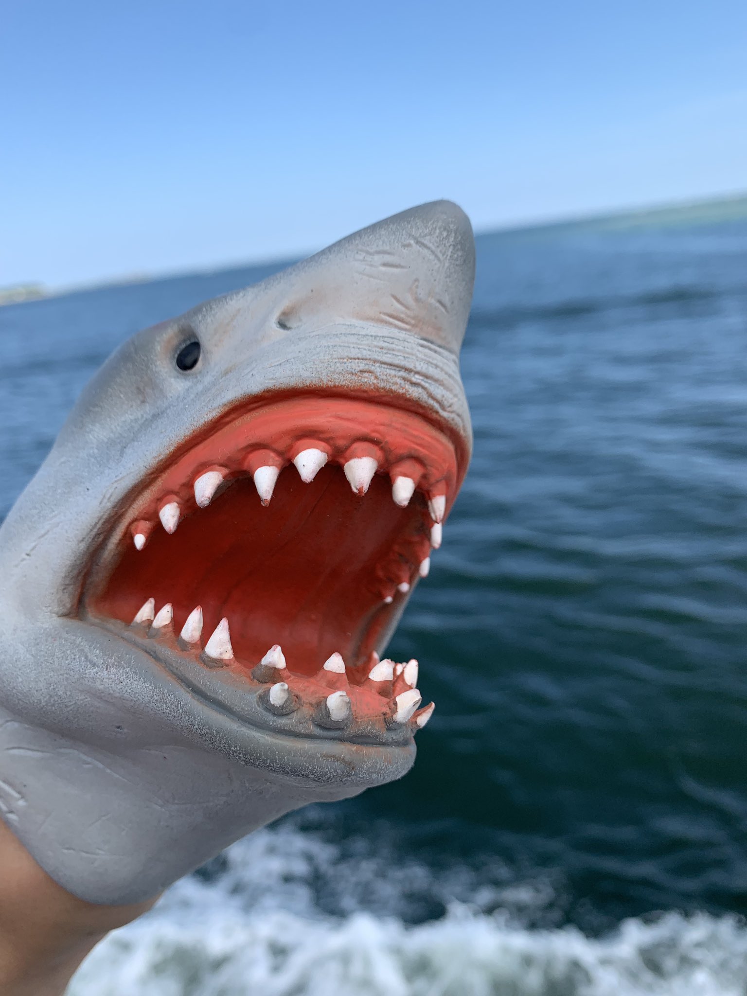 Shark Puppet on Twitter: Shark Puppet on Twitter: