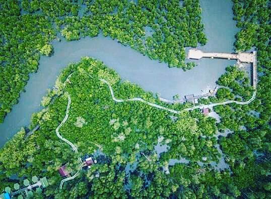 <a href="/asya252510/">ahmad syukani</a> <a href="/jokowi/">Joko Widodo</a> <a href="/EkoSandjojo/">Eko P. Sandjojo</a> <a href="/anwsanusi/">Anwar Sanusi</a> <a href="/taufikmadjid71/">IG : taufik.madjid</a> @fachrilabalado <a href="/irfan_aja84/">Irfan Kepri</a> Wisata Hutan #manggrove