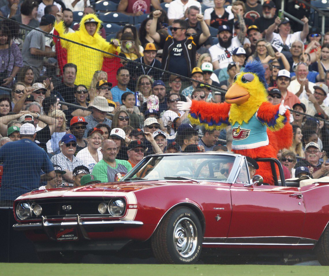 Dominic Stearn tweet media