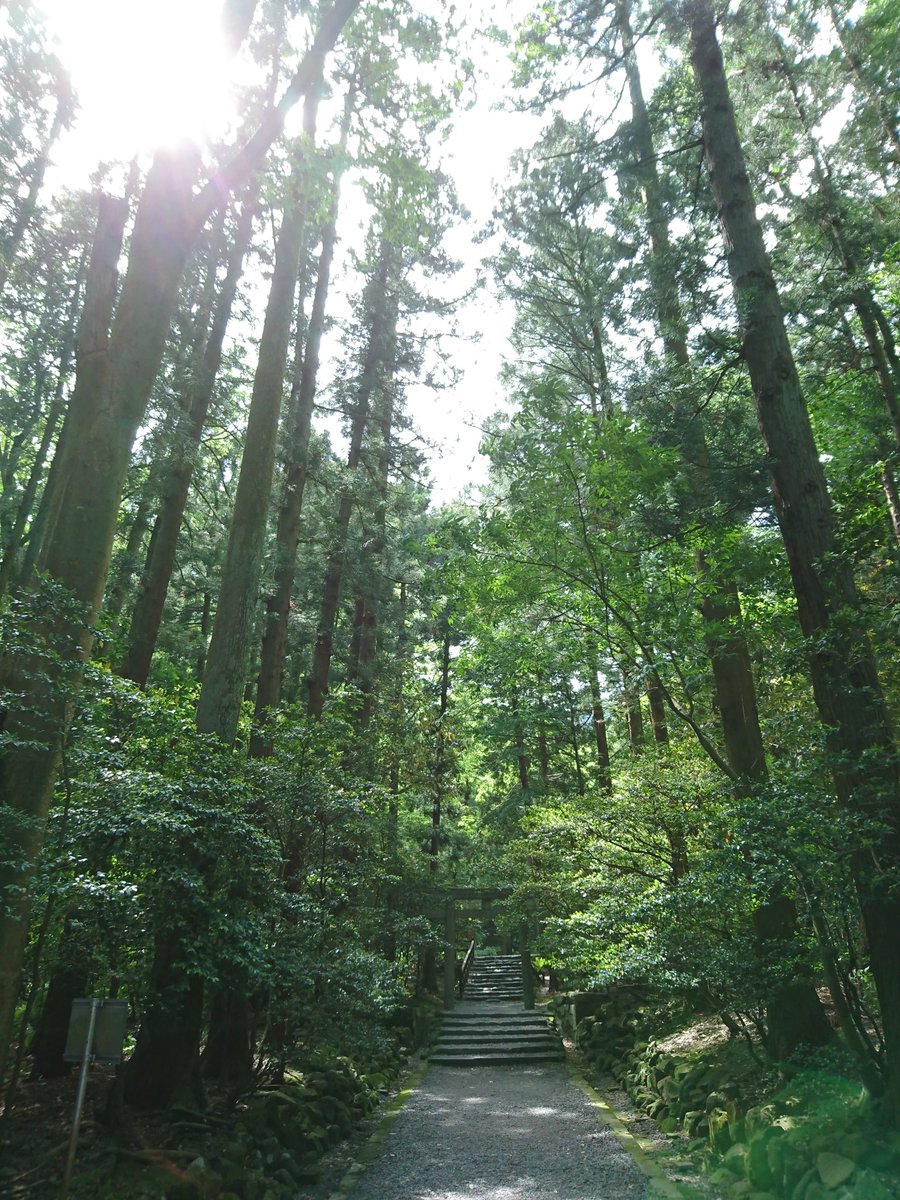 katagirisora's tweet photo. 毎年、夏の時期には必ず一度見に来る場所。来年も必ず行くぞ～ https://t.co/B5LEN8H5S7