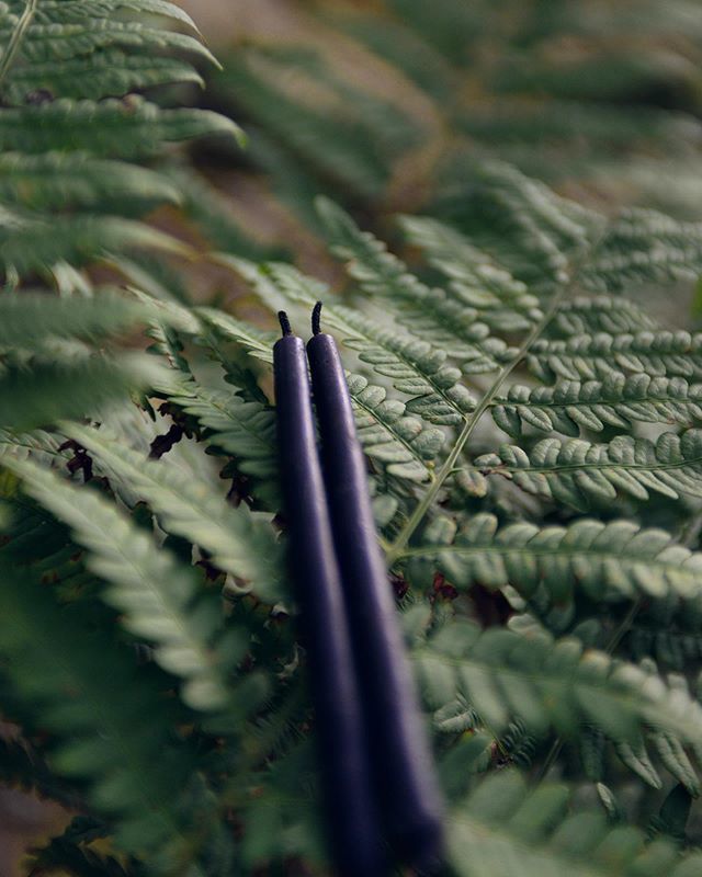 Forest 🖤 inspiration for black beeswax candles came from dark swampy forest and old honeycombs.
•
•
•
•
•
#beeswax #beeswaxcandles #beekeeping #naturalcandles #decorativecandles #handmadecandles #handdipped #baltic #naturalhome #consciousliving #… ift.tt/2Mmsp3h