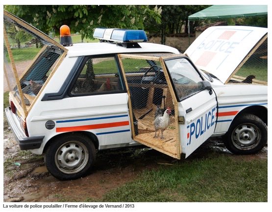 Thornton Kay At Tksalvo Twitter