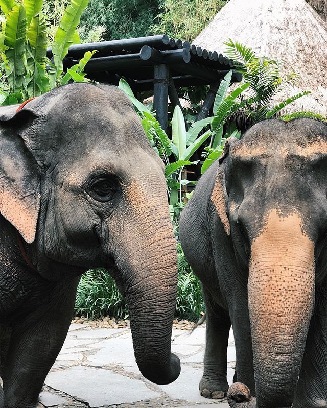 Shingo Kido tweet media