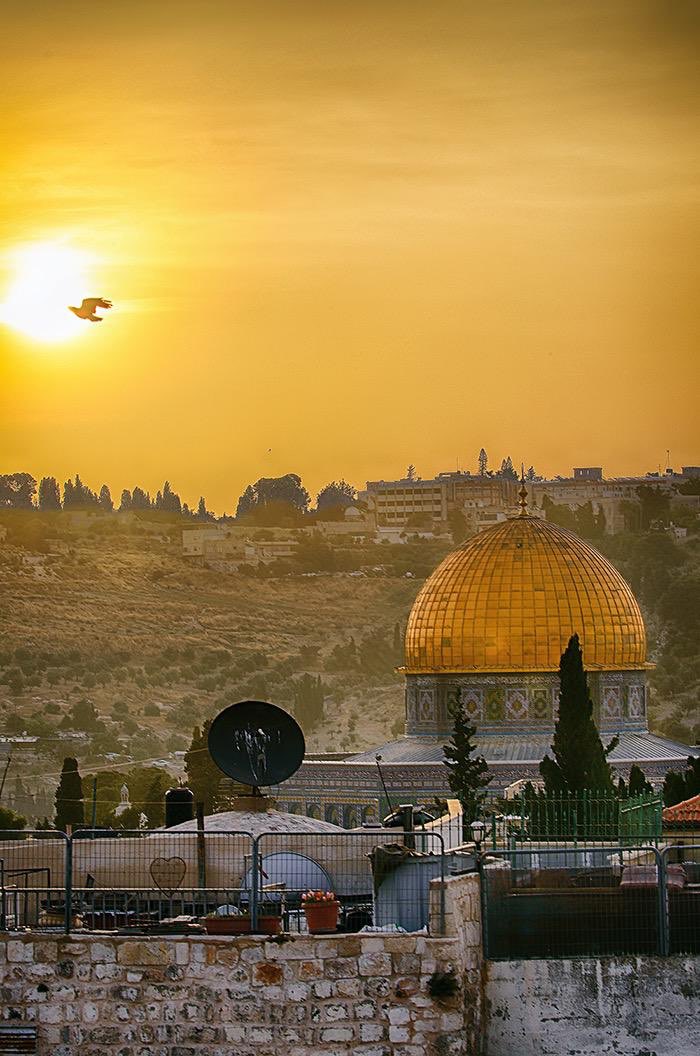 MaherZain's tweet image. #AlQuds  

📷: Islam Fawaqa