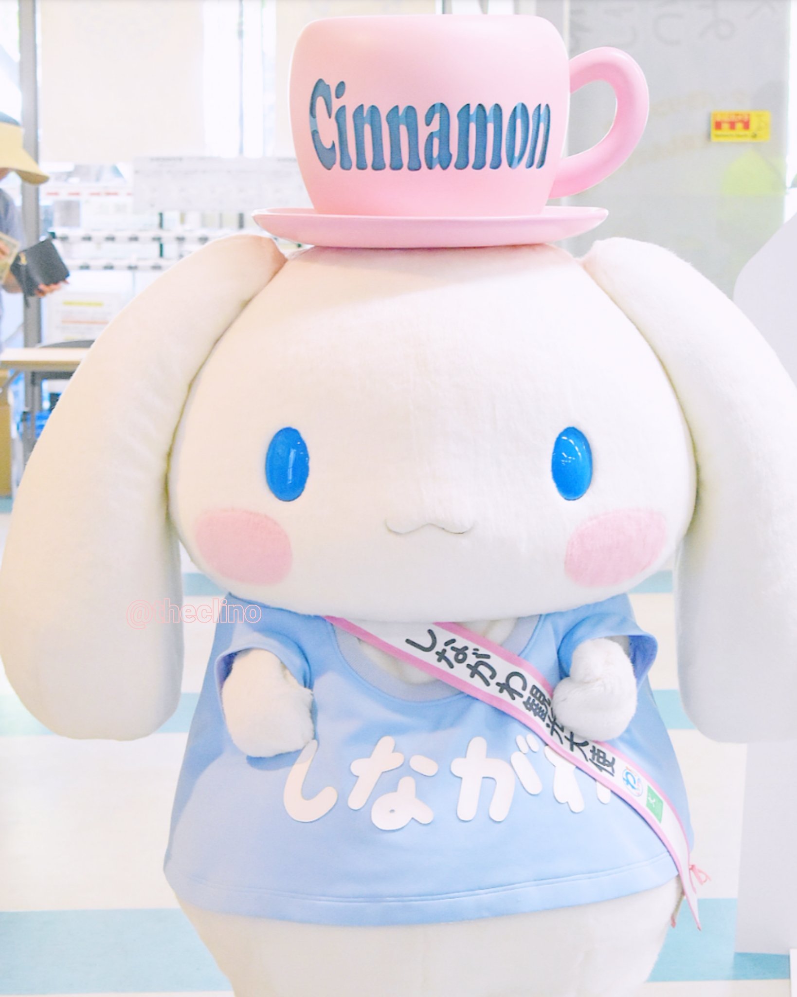 ふわり W 今日も今日とてかわいかったシナモン 背景の虹もかわいかったし4枚目の下唇もかわいすぎる ĭwĭ シナモロール しながわ観光大使 しなバサダー T Co Xkde5fudyu Twitter