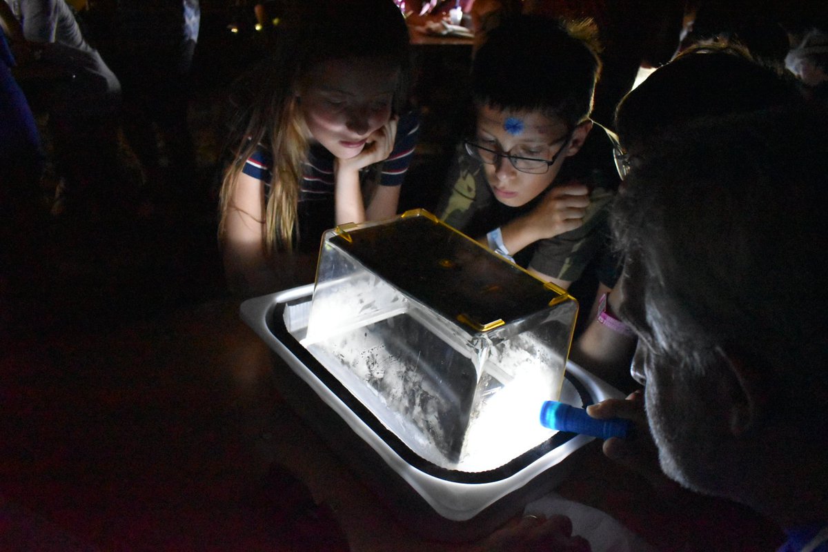 Cloud chamber workshop was a success! Despite the humidity, everyone saw electrons and even alphas! #PhysicsPavilion2019 #WOMAD2019 #WorldOfPhysics #TheBigBangCollective