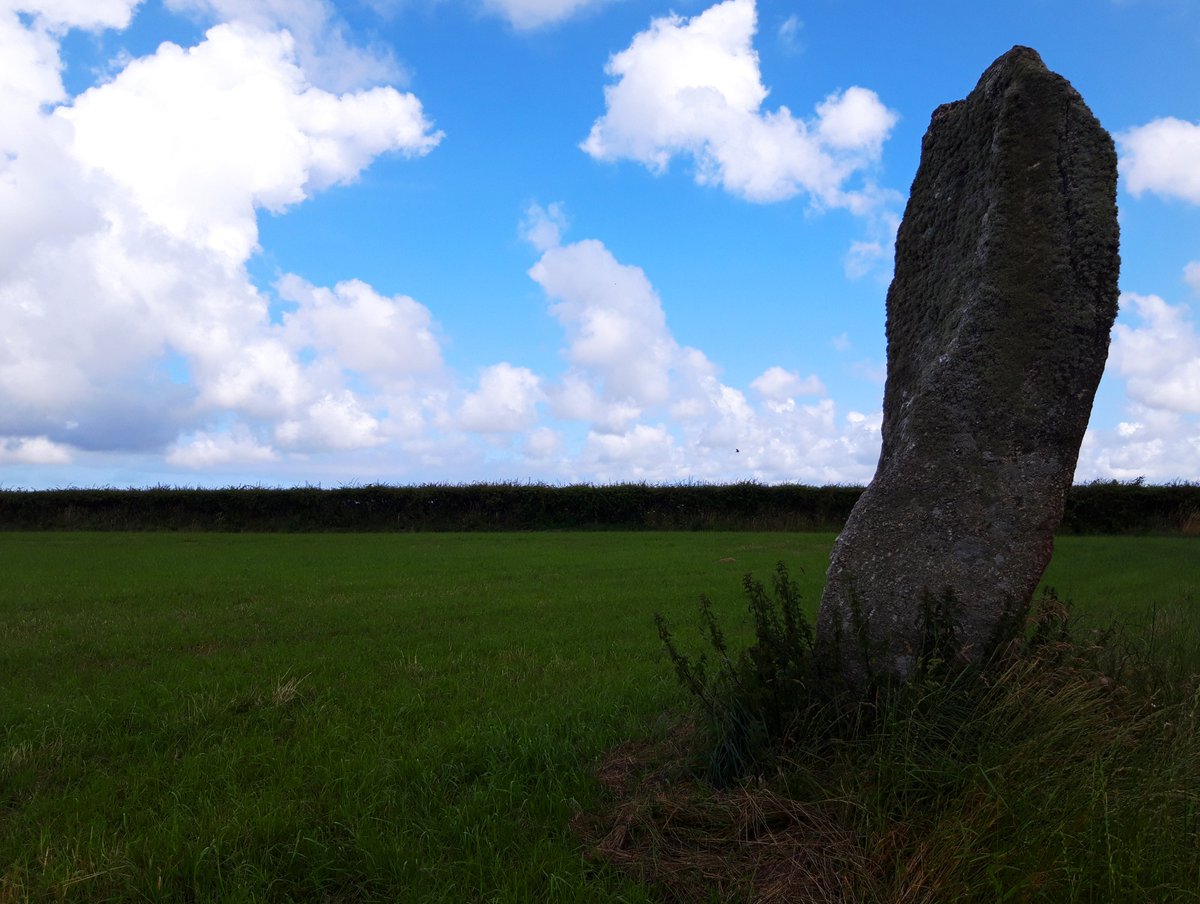 Trelew Standing Stone is in a field near St Buryan.A giant! 10 ft or so, I'd imagine. It's a twisted, curved piece of granite so looks very different from each angle.Cremated remains,calcified bones etc found in a pit nearby by Borlase in the 19thC. #PrehistoryOfPenwith
