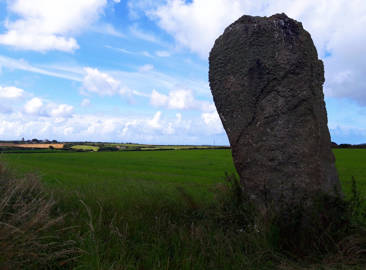 Trelew Standing Stone is in a field near St Buryan.A giant! 10 ft or so, I'd imagine. It's a twisted, curved piece of granite so looks very different from each angle.Cremated remains,calcified bones etc found in a pit nearby by Borlase in the 19thC. #PrehistoryOfPenwith