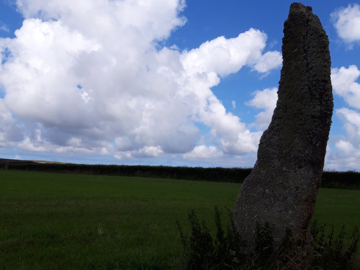 Trelew Standing Stone is in a field near St Buryan.A giant! 10 ft or so, I'd imagine. It's a twisted, curved piece of granite so looks very different from each angle.Cremated remains,calcified bones etc found in a pit nearby by Borlase in the 19thC. #PrehistoryOfPenwith